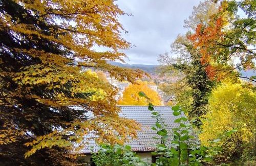Bad Sooden-Allendorf Apartment | Haus am Wald Radlerrast