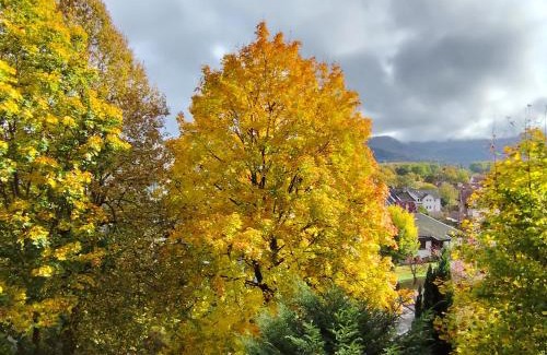 Bad Sooden-Allendorf Apartment | Haus am Wald Radlerrast