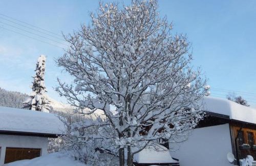 Bad Hindelang Apartment | Guest Rated 8.8 - Haus am Weißenbach, Pet Friendly Retreat