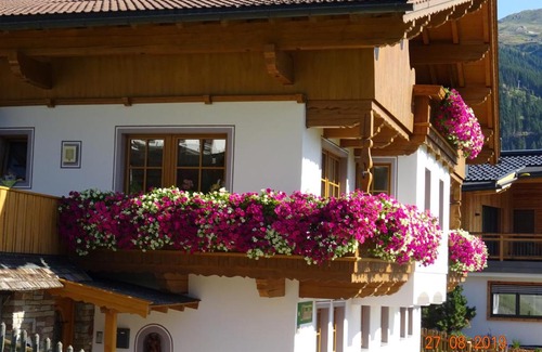 Vorderlanersbach Apartment | Discover Haus Anna: Family-Friendly with Kitchen Access