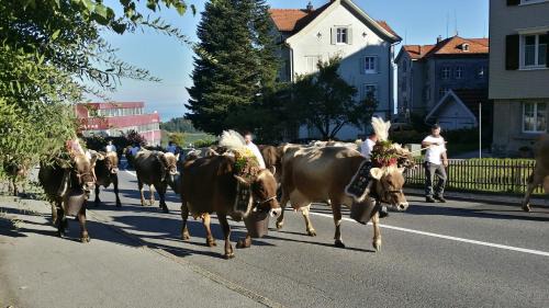 Wolfhalden Apartment | Discover Haus Basilea: Family & Pet-Friendly Retreat