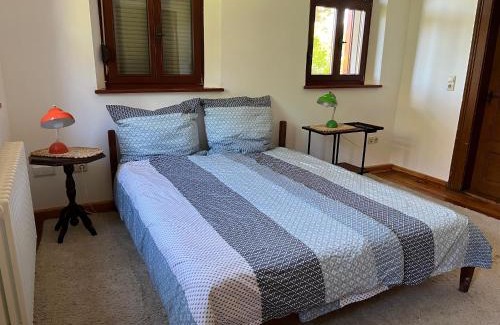 Dombuehl Apartment | Pet-Friendly Haus Birk: Oceanfront Bliss with Top Ratings