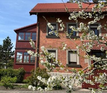 Dombuehl Apartment | Pet-Friendly Haus Birk: Oceanfront Bliss with Top Ratings
