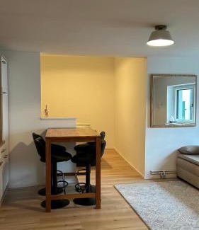 Gobelsburg Apartment | Haus Crisan- Garconniere