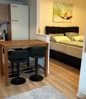 Gobelsburg Apartment | Haus Crisan- Garconniere