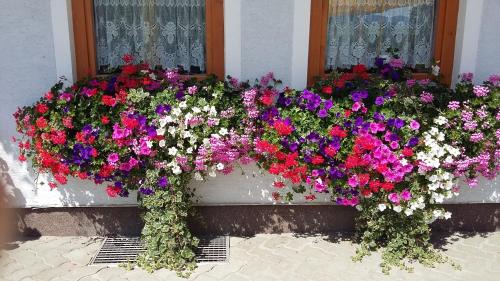 Bodendorf House | Oceanfront Pension Edlinger: Guest Rated 9.2/10 for Families