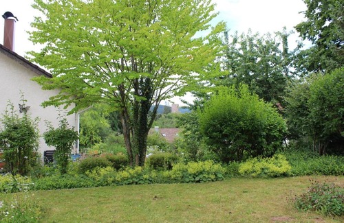 Bad Teinach-Zavelstein Apartment | Family-Friendly Stay at Haus Ersfeld with Great Reviews