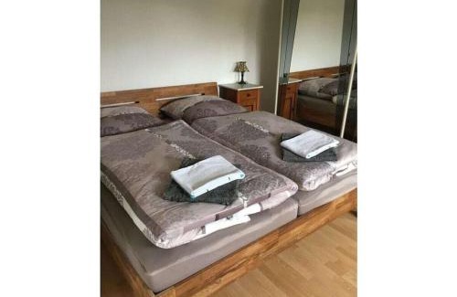 Bad Grund House | Haus FeLiSi: A Family-Friendly Holiday Residence Awaits