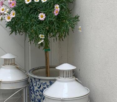 Hueckelhoven Apartment | Pet-Friendly Haus Finchen - Alte Näherei with Top Guest Rating