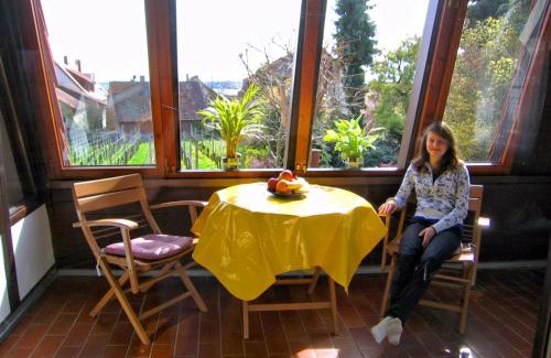 Hagnau Apartment | Family-Friendly Stays at Haus Gnädinger with Great Reviews