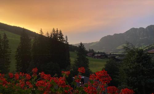 Inneralpbach Apartment | Pet-Friendly Retreat at Haus Hislop - Rated 9.3/10!
