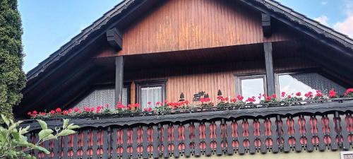 Walkenried Apartment | Cozy Haus Kalli with Ocean View & Spa Amenities