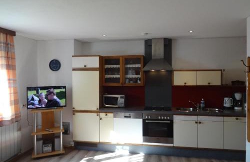 Kloesterle am Arlberg Apartment | Pet-Friendly Haus Kinsperger with Breathtaking Ocean Views
