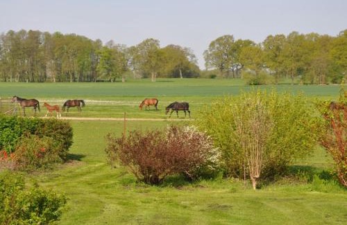 Plattenburg Apartment | Exceptional Haus Koppelblick: Family-Friendly Retreat