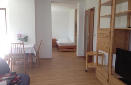 Bad Duerrheim Apartment | Discover Haus Meßmer: Guest Rated 8.9/10 Experience