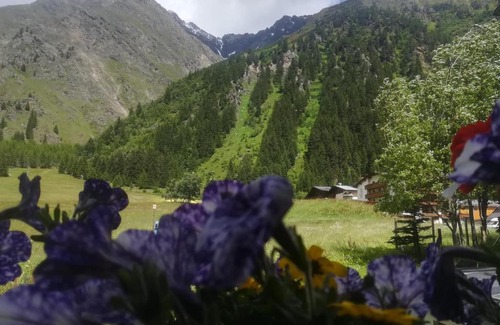Mandarfen House | Discover Haus Pechtl: Pet-Friendly Retreat with Breakfast