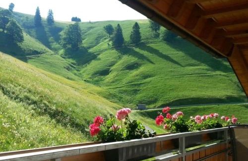 Munstertal Apartment | Haus Sattelgrund