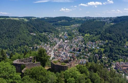 Schramberg Apartment | Family-Friendly Retreat at Haus Schiltach with Hot Tub