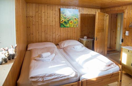 Schmitten House | Pet-Friendly Haven at Haus Schmitten - Davos, Rated 8.8