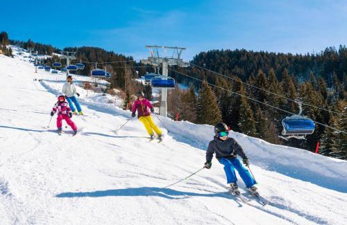 Kitzbuehel House | Discover Haus Seinader: Family & Pet-Friendly Retreat