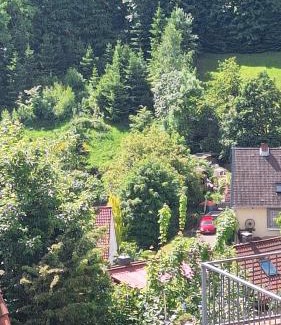 Bad Grund Apartment | Pet-Friendly Haus Westharz Clausthal with Great Reviews