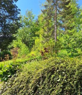 Bad Grund Apartment | Unbeatable Stay at Haus Westharz Goslar - 10/10 Rating!
