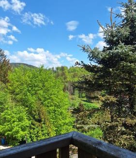 Bad Grund Apartment | Unbeatable Stay at Haus Westharz Goslar - 10/10 Rating!