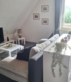 Bad Grund Apartment | Pet-Friendly Retreat at Haus Westharz Hahnenklee – 9/10 Rating