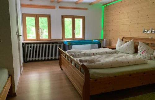 Todtnau Apartment | Family-Friendly Retreat at Haus Wiesengrund-Fahl - FeWo 4
