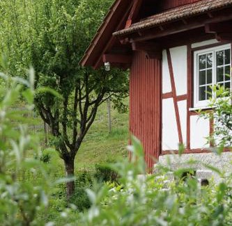 Brandmatt House | Family-Friendly Comfort at Haus Wiesenruhe - Rated 9.8