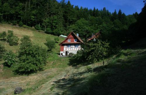 Brandmatt House | Family-Friendly Comfort at Haus Wiesenruhe - Rated 9.8