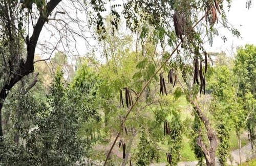 Hauz Khas Bed & Breakfast | Inviting Haveli Hauz Khas: Family-Friendly & Rated 9.4/10
