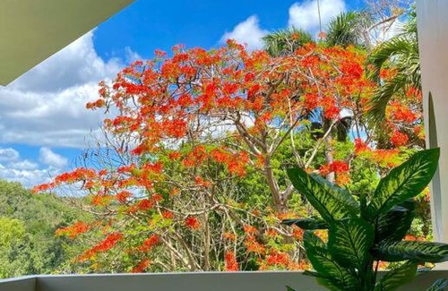 Caguas Villa | Discover Haven Hill Place: Pet Friendly with Pool Access