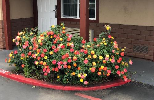 Chico Hotel | Family-Friendly Haven Inn of Chico for Your Next Getaway