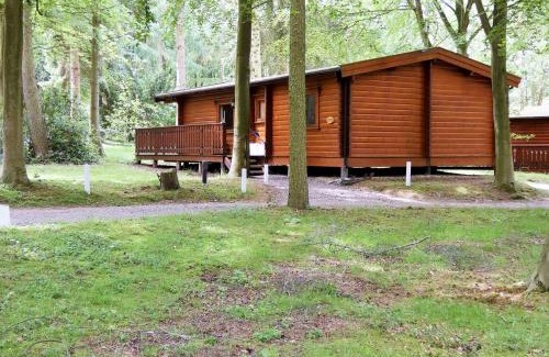 Kenwick House | Family-Friendly Haven Lodge with High Guest Satisfaction