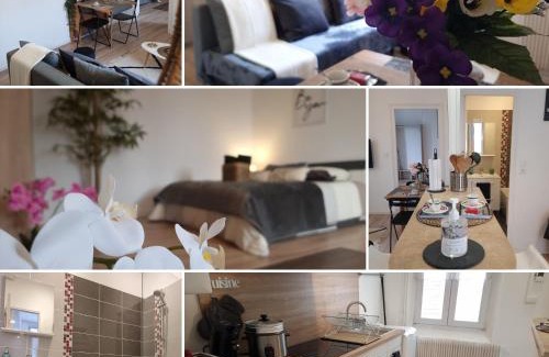 Courlancy Apartment | Pet-Friendly Havre de Paix - Lotus with Breakfast Included