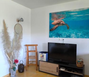 Conca Apartment | Oceanfront Haven: T3 with Breathtaking Sea Views