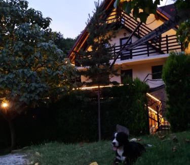 Calimanesti Cabin | Havva