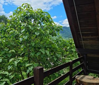 Calimanesti Cabin | Havva