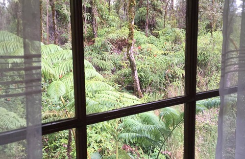 Mountain View Cabin | Explore Hawaiian Tree House Cabin with Ocean View & Spa