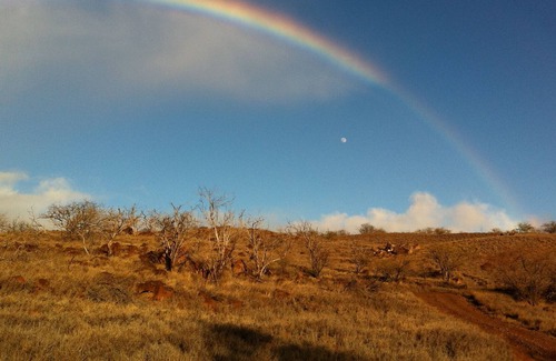 Hawi Cottage | Hawi peaceful, spacious Garden Cottage- your home away from home