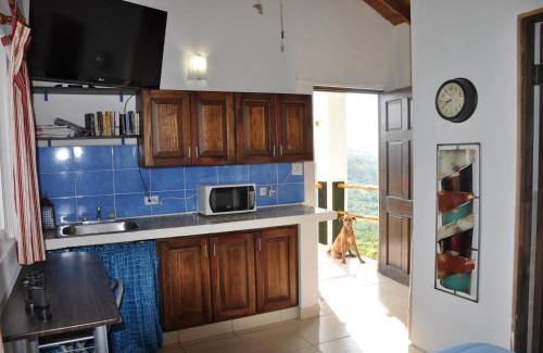 La Laguna Bed & Breakfast | Hawk's Nest Bed & Breakfast: Oceanfront Paradise Awaits
