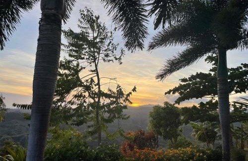 La Laguna Bed & Breakfast | Hawk's Nest Bed & Breakfast: Oceanfront Paradise Awaits