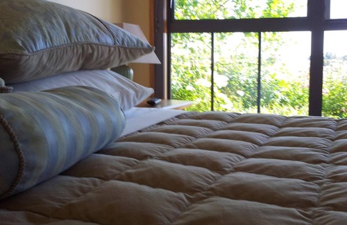 Alexandra House | Idyllic Hawkdun Rise Vineyard & Accommodation Awaits You