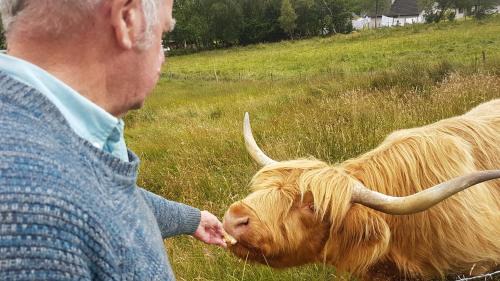 Torcastle House | Pet-Friendly Hawthorn Lodge: Guest Rated 9.2/10