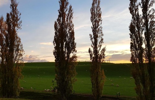 Coalgate House | Top-Rated Hazel Tree Homestay: Pet-Friendly & Pool Access