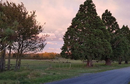 Coalgate House | Top-Rated Hazel Tree Homestay: Pet-Friendly & Pool Access