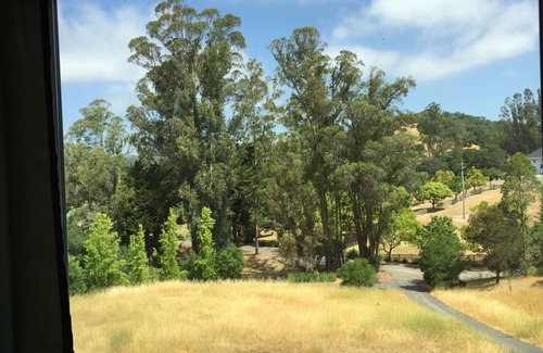Windsor House | Healdsburg Wine Country Retreat: Pool, Spa & Serenity Awaits