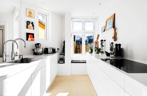 Copenhagen City Centre Apartment | Prime Copenhagen Stay with Rooftop Access & Garden Views