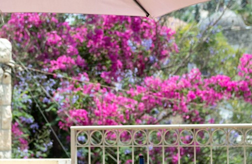 Ein Karem Apartment | Discover Ein Kerem: Cozy Apartment in Jerusalem's Square